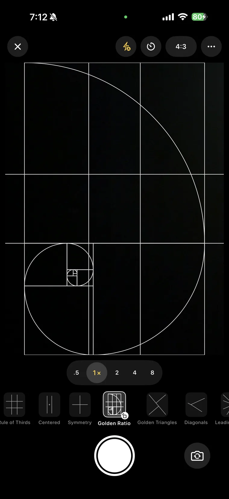Doover's camera with the Golden Ratio guide drawn over the viewfinder and a rail of guides below.